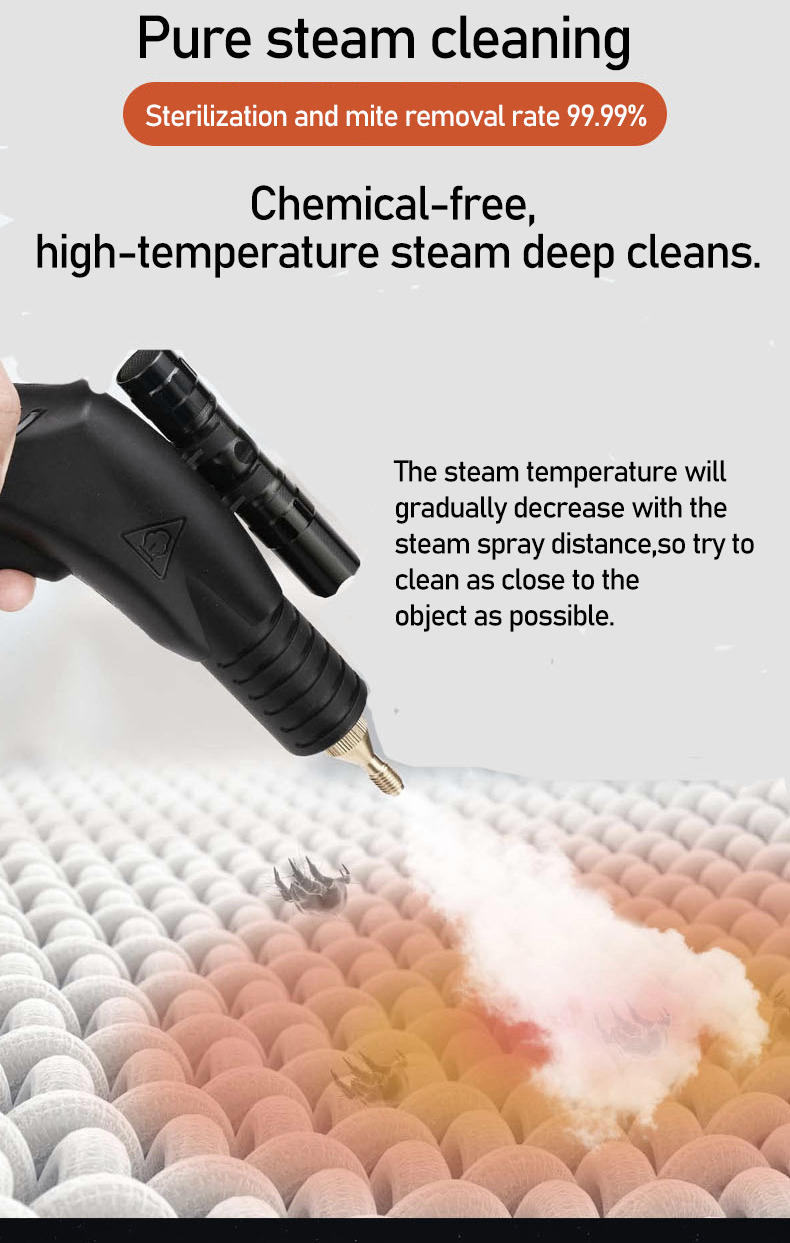 Handheld Steam Cleaner Car Kit - Home Cooking Appliances 评论和价格